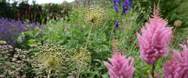 Blomrabatt i park