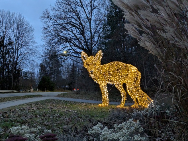 Vinterbelysning i Mölnbo